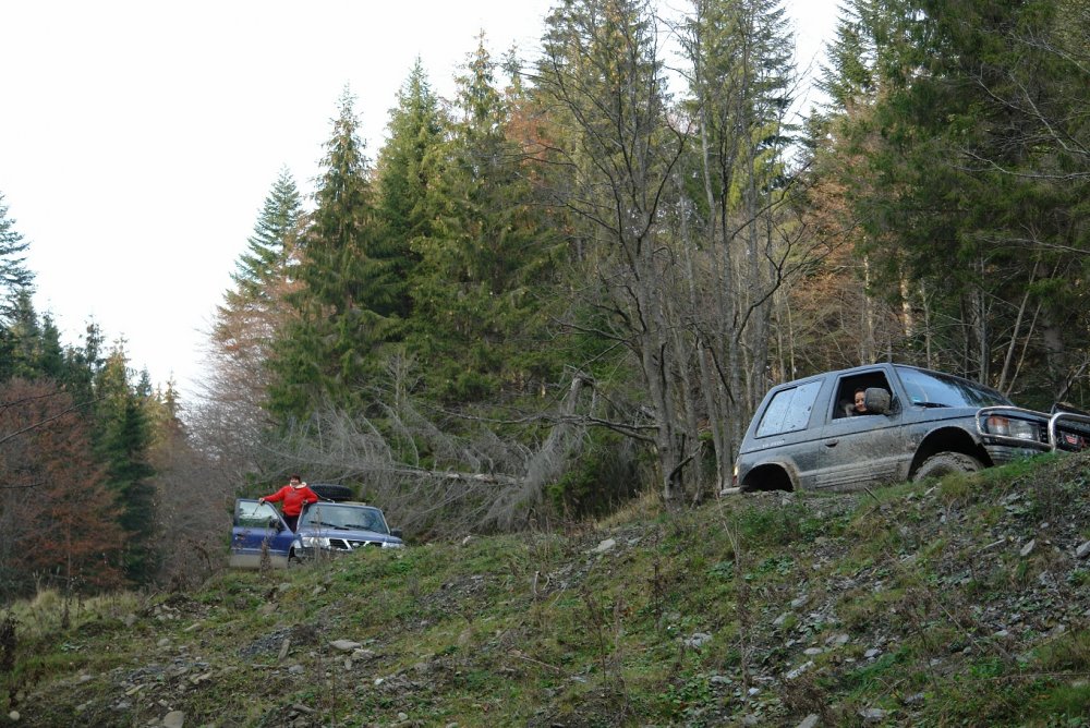 DSC07463.thumb.JPG.270f0725e1bf2e020b0ea496adcf4efe.JPG