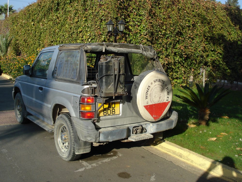 DSC08384.thumb.JPG.6ec1e93169c278c287f9a48d9dd56e62.JPG