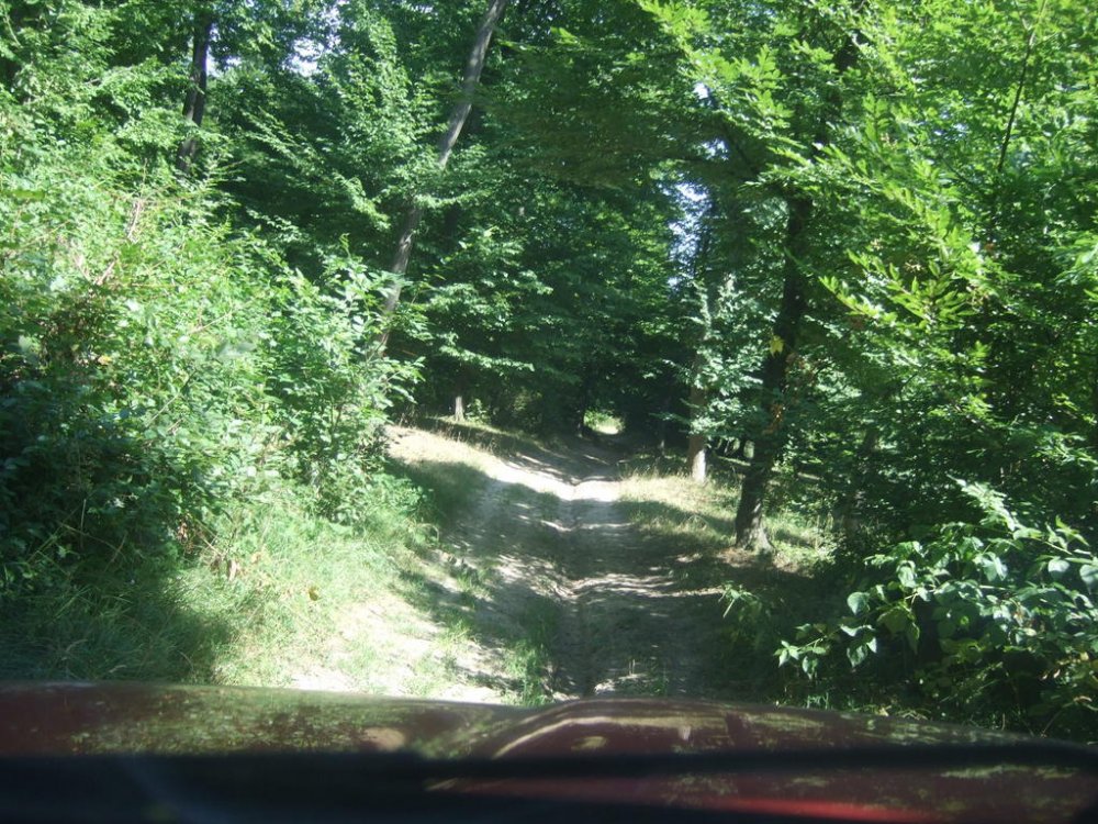 DSCF0137.thumb.jpg.0ec35cd67d06eb97246c6c7bd5810f86.jpg
