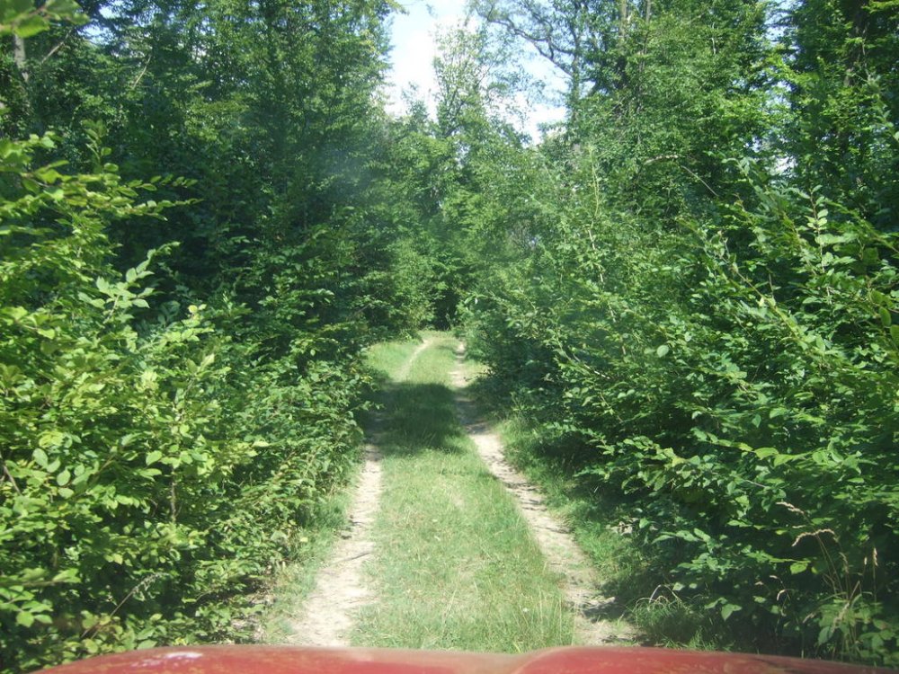 DSCF0141.thumb.jpg.7905377d4e775b4bda046678f5b6cf18.jpg