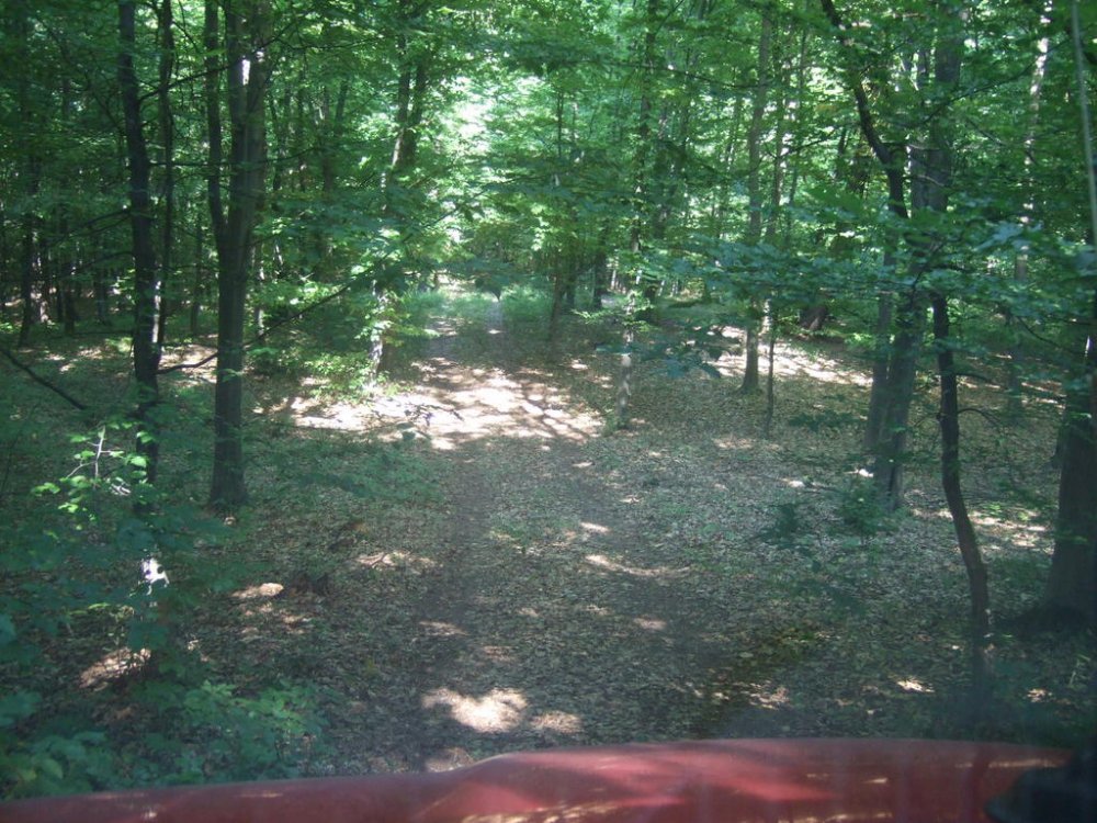 DSCF0152.thumb.jpg.f404e9f2a9f8e21d00a886ea58c362a0.jpg