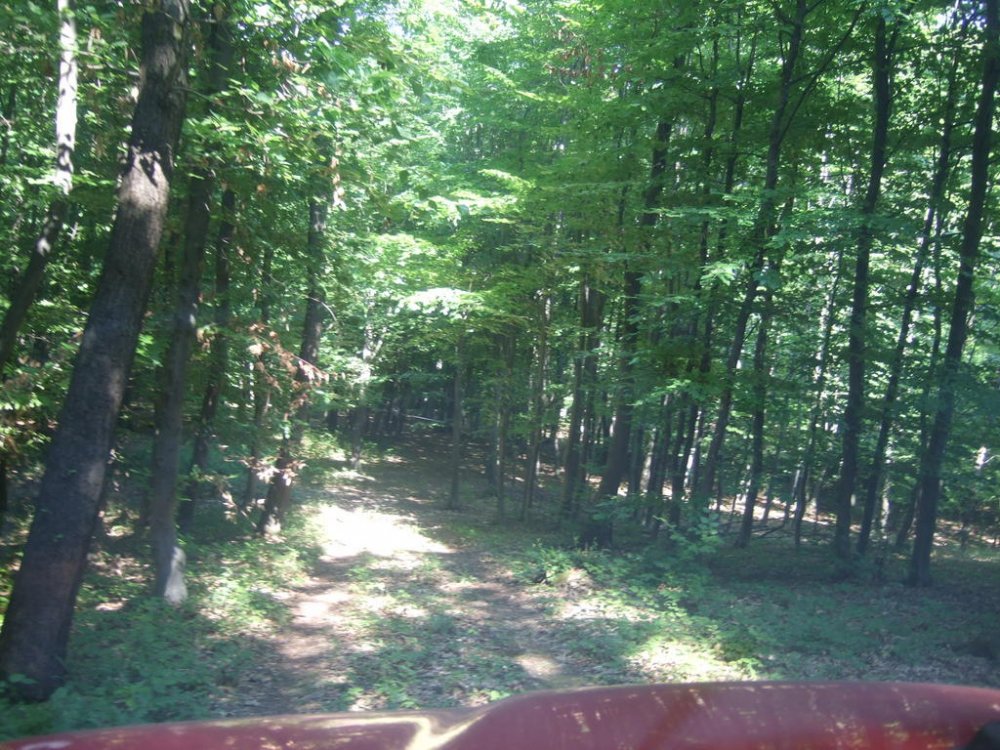 DSCF0153.thumb.jpg.ae16a2507dbfb6ba93d55b15e8a3de4b.jpg