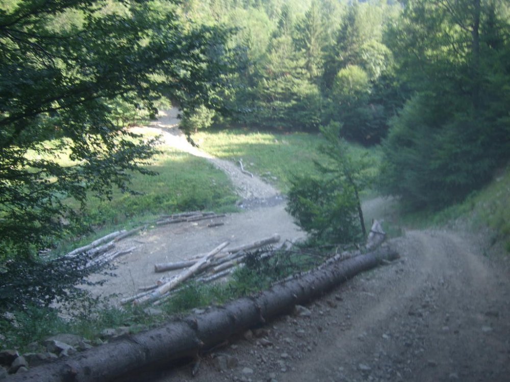 DSCF0895.thumb.jpg.833da56f0482d8e097f13e436e26919a.jpg