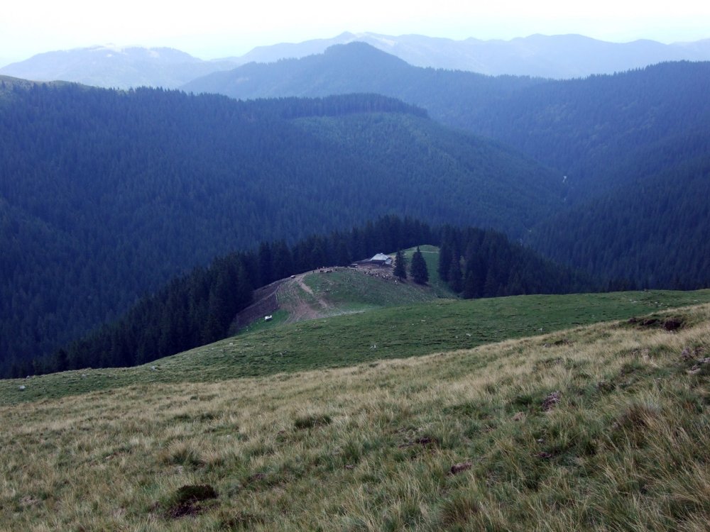 DSCF1740.thumb.jpg.397f62d94a5c782d8e6c240cbfcc82b1.jpg