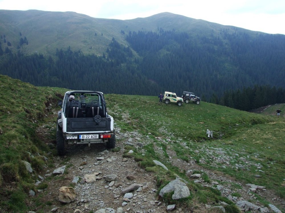 DSCF1780.thumb.JPG.6373f5cacc3c06c8b997eb90e1bd2f87.JPG