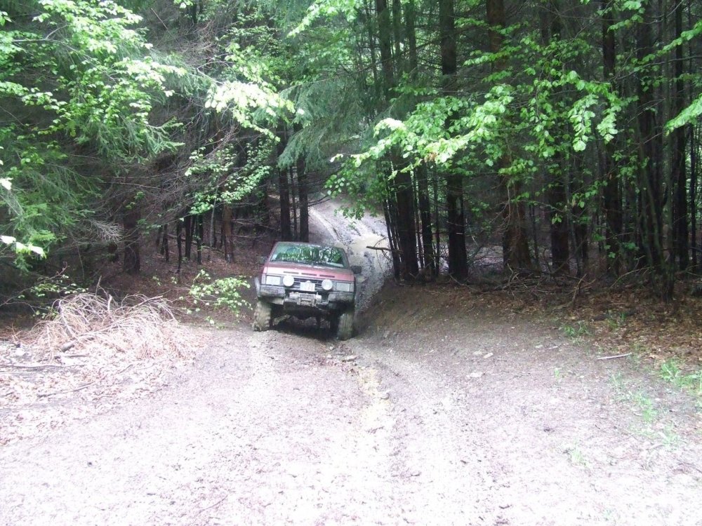 DSCF2386.thumb.JPG.d3bd7d1e80a18ed3a07cd80d6386fb95.JPG