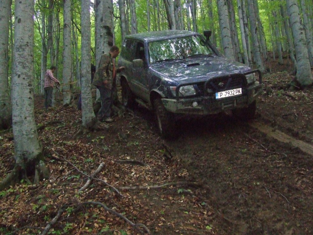 DSCF2551.thumb.JPG.b6c2afb4da3bcdc9c0f5499b8e4a3cc2.JPG