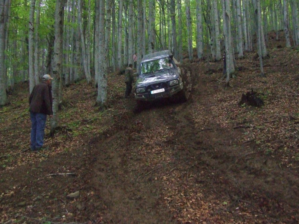 DSCF2552.thumb.JPG.fcef1daac131e9045c0c39577756c6fb.JPG