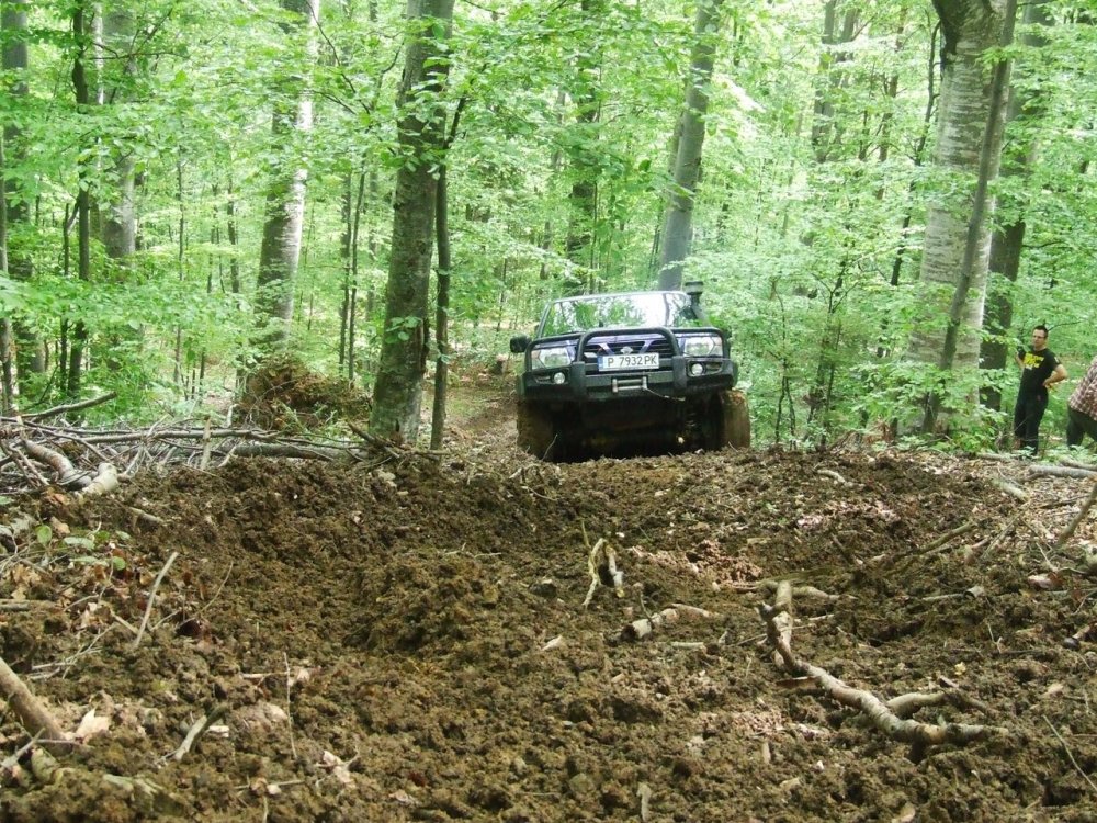 DSCF2579.thumb.JPG.9267a50c1ae1fb686178f8226d651dc3.JPG