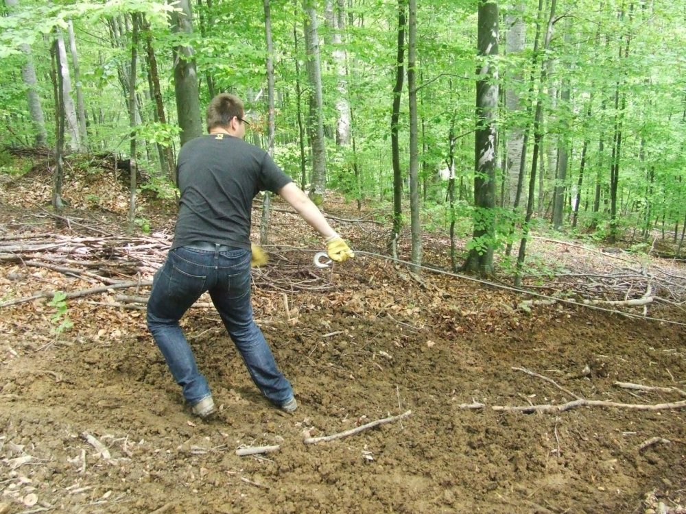 DSCF2582.thumb.JPG.a8588537d251c17eccc9def90e54b8c8.JPG