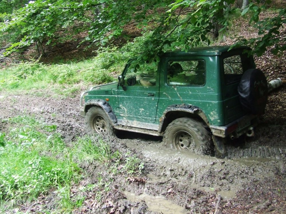 DSCF2725.thumb.JPG.b7a0784674775d726bc0eea0abb14b93.JPG