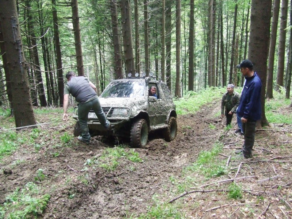 DSCF2773.thumb.JPG.b503d70dd3adb4b39a8c9c28e47cd23d.JPG
