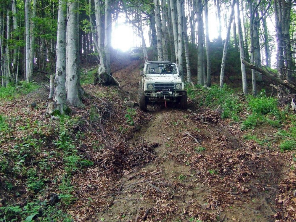 DSCF2784.thumb.JPG.767d9b6c1d75dc49f68284f2eca7cac7.JPG