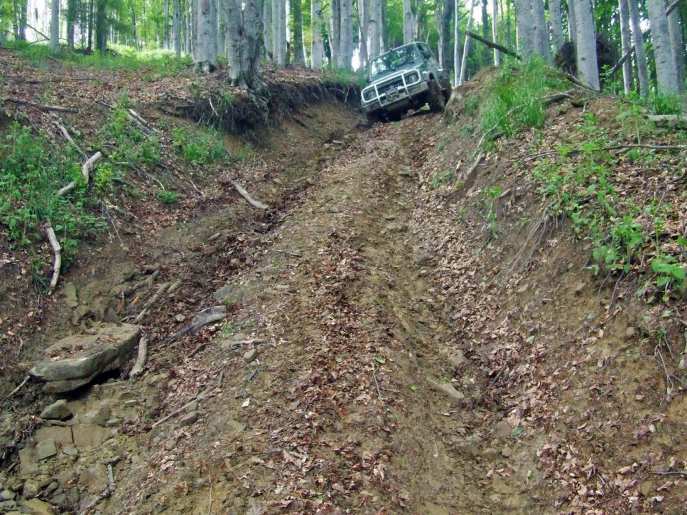 DSCF2793.thumb.JPG.c86ffcc3bd1648749da152e826a8117c.JPG