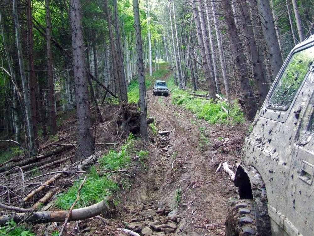 DSCF2796.thumb.JPG.29248c57224d172e3af2a27b978a2c8e.JPG