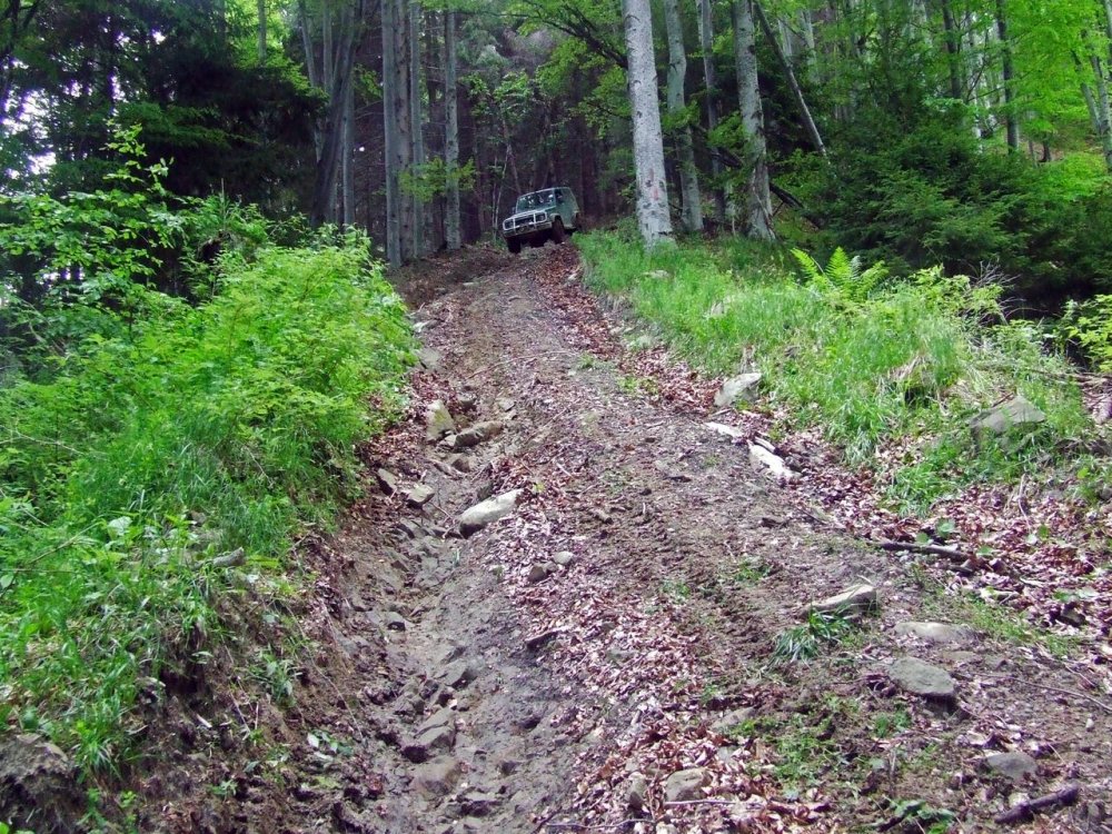 DSCF2800.thumb.JPG.478b958083e4959ce494c2d44fa81275.JPG