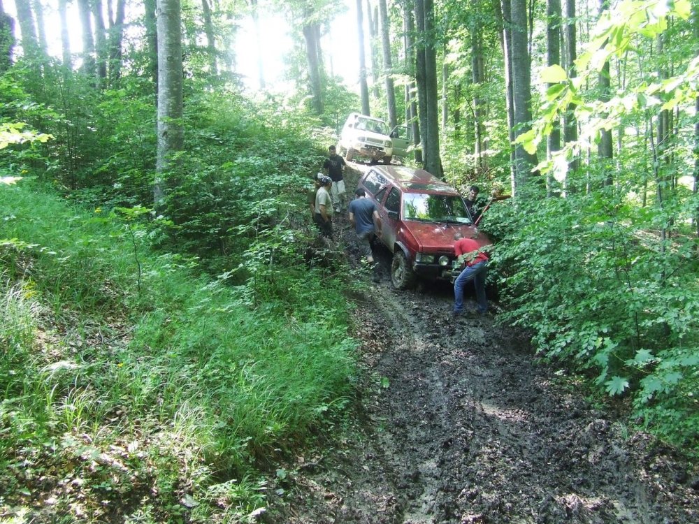 DSCF2824.thumb.JPG.67bda8e82ab1a2afaac03e5f8c159beb.JPG