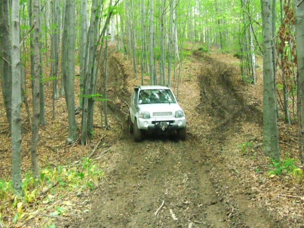 DSCF2854.thumb.JPG.cccd35c8aa21efcda0c725fba6199772.JPG
