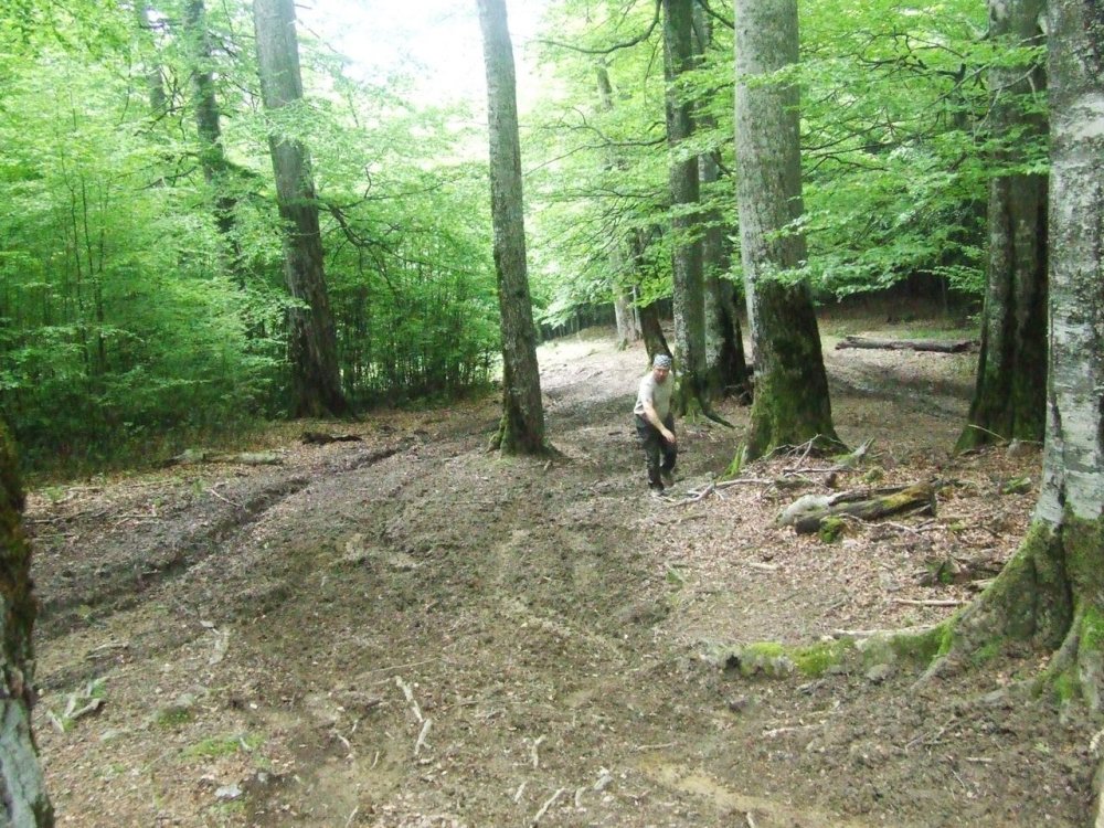 DSCF2868.thumb.JPG.3f5141d0362616a3b80c6fd506edd21a.JPG