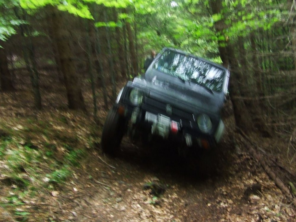 DSCF2936.thumb.JPG.b4b20c15bddd0846a4f4b1f9c0d0220e.JPG