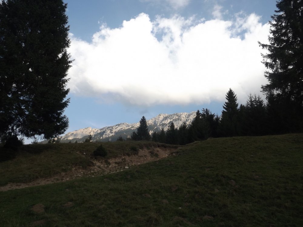 DSCF3300.thumb.JPG.9d2fc37ec3c5e9119b0c4d99ed12f4f4.JPG