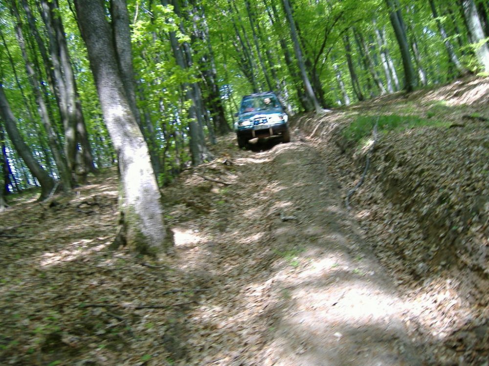 DSCF3931.thumb.jpg.c7aa781d769f1e9b59bdd541f163f348.jpg