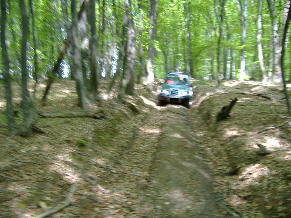 DSCF3932.thumb.jpg.7bb674b926d5256829ce29f6d3fbf8fa.jpg