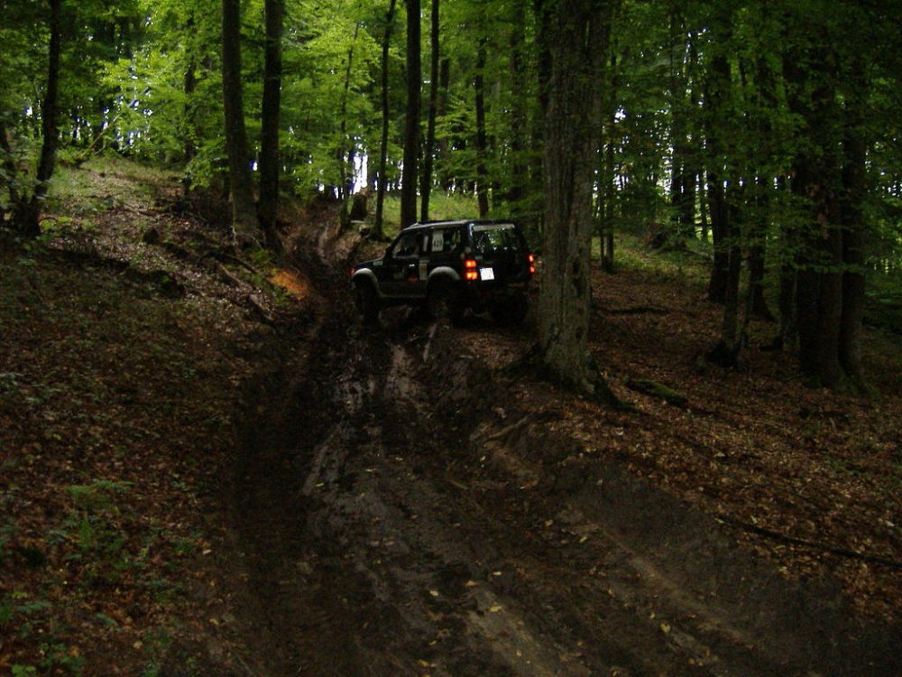 DSCF4290.thumb.jpg.fbd286406398f7b9c145826eed3a9008.jpg