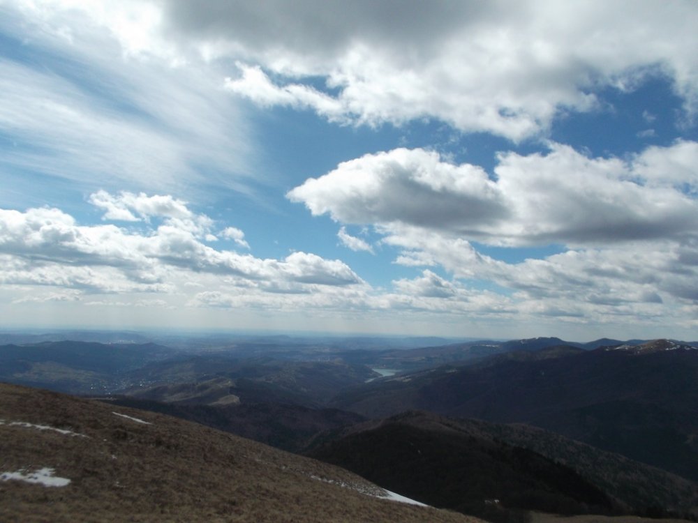DSCF4308.thumb.JPG.eddbaac58a24caa8b305168578d81f01.JPG