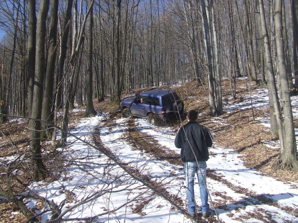 DSCF4594.thumb.JPG.02e4d0fb336abc98e89b8f7f88a63c06.JPG