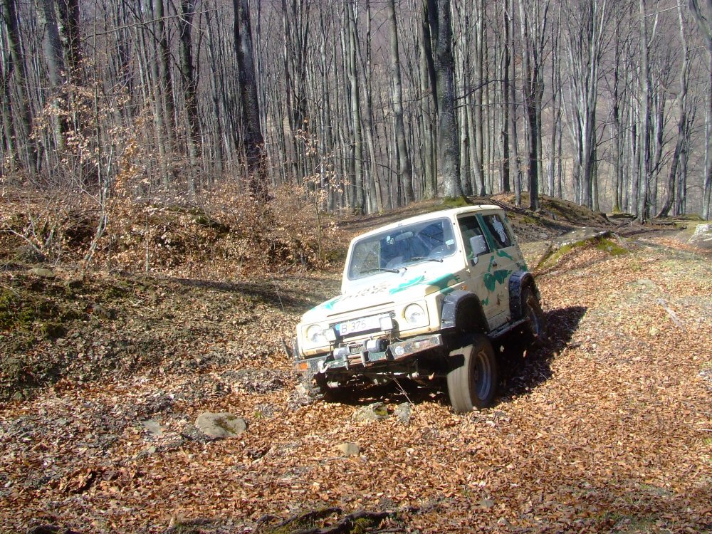DSCF5112.thumb.JPG.211f7ac3bf3dbaae1b4df49f7211f7ec.JPG