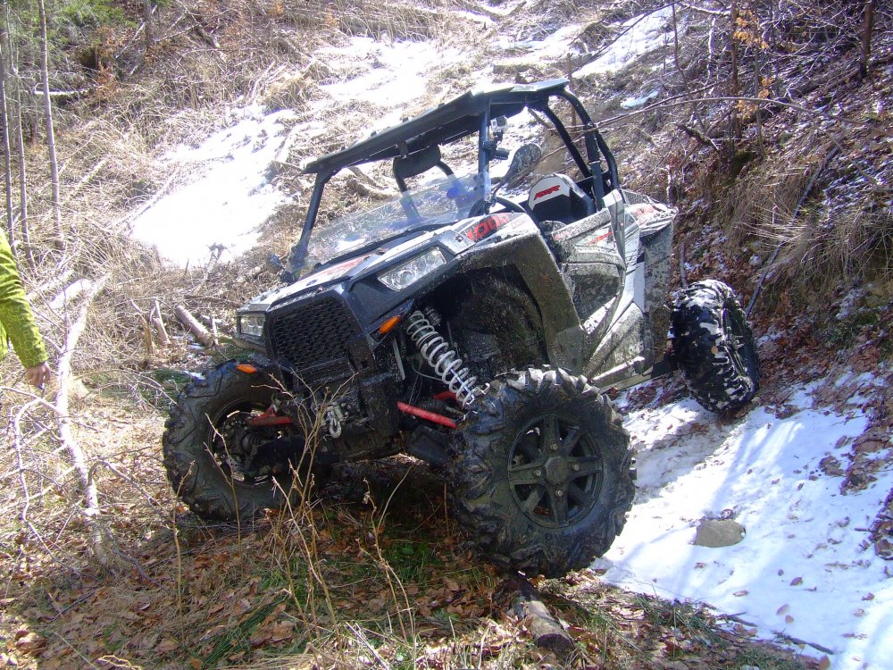DSCF5161.thumb.JPG.d91e799a336fd6b4dca65b41bb66ce39.JPG