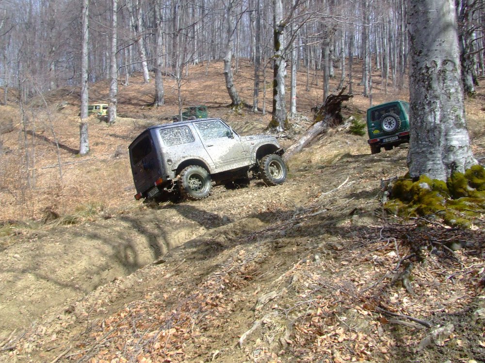 DSCF5185.thumb.JPG.8c23300e407a45d99d6083a764cb3e37.JPG