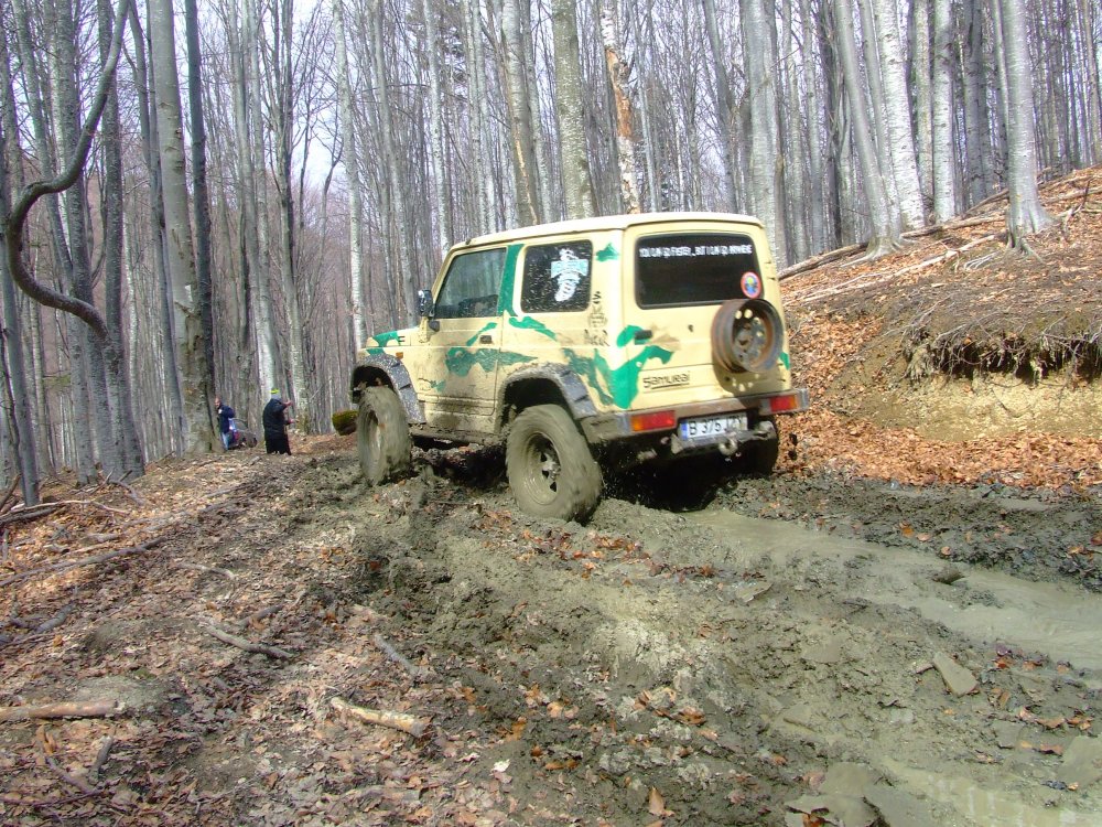 DSCF5208.thumb.JPG.1c4cc834c64f3d870080dda425b22dde.JPG