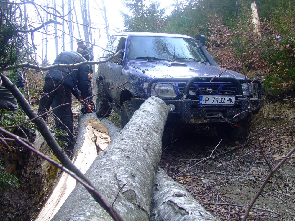 DSCF5223.thumb.JPG.71c912ffc4c09f37b45797163ac2e5e9.JPG
