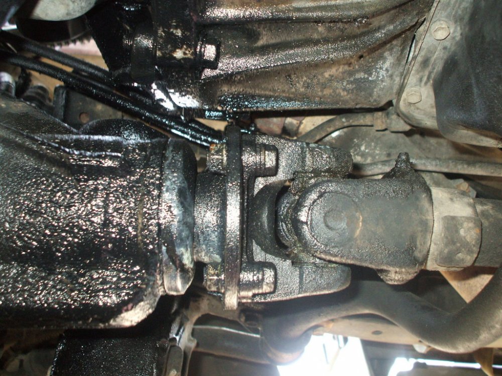 DSCF5245.thumb.jpg.ea1c00e87d8c273348f7fd6b713db728.jpg