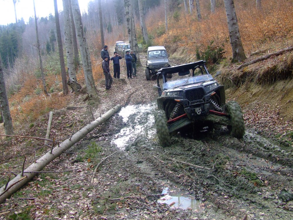 DSCF5253.thumb.JPG.39eec1a16909c70fd8ff2f7a360481bd.JPG