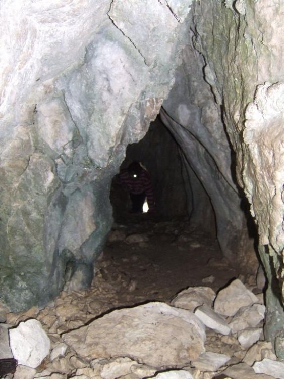 DSCF5255.thumb.jpg.67150e2ce9d06a16ddcd9a16e3765911.jpg
