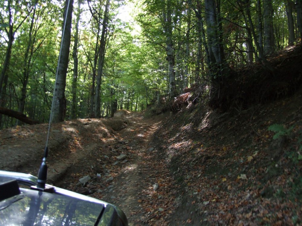 DSCF5742.thumb.JPG.e8fe04cbc0ae5eebbcc0c5e33a44fd3c.JPG