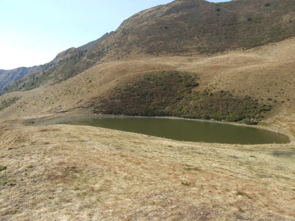 DSCF5795.thumb.jpg.374986f389b5bc79c23f952b14a2e0b5.jpg