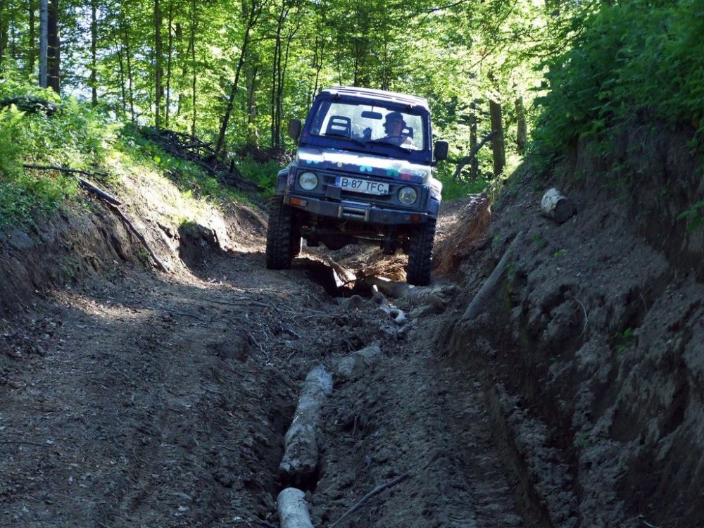 DSCF7143.thumb.JPG.b604c3fec62d8bca1b11629672d43c22.JPG