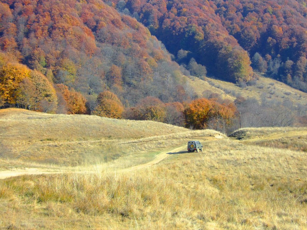 DSCF7526.thumb.jpg.d0464cdb525cb83b5d3b37dbded90924.jpg