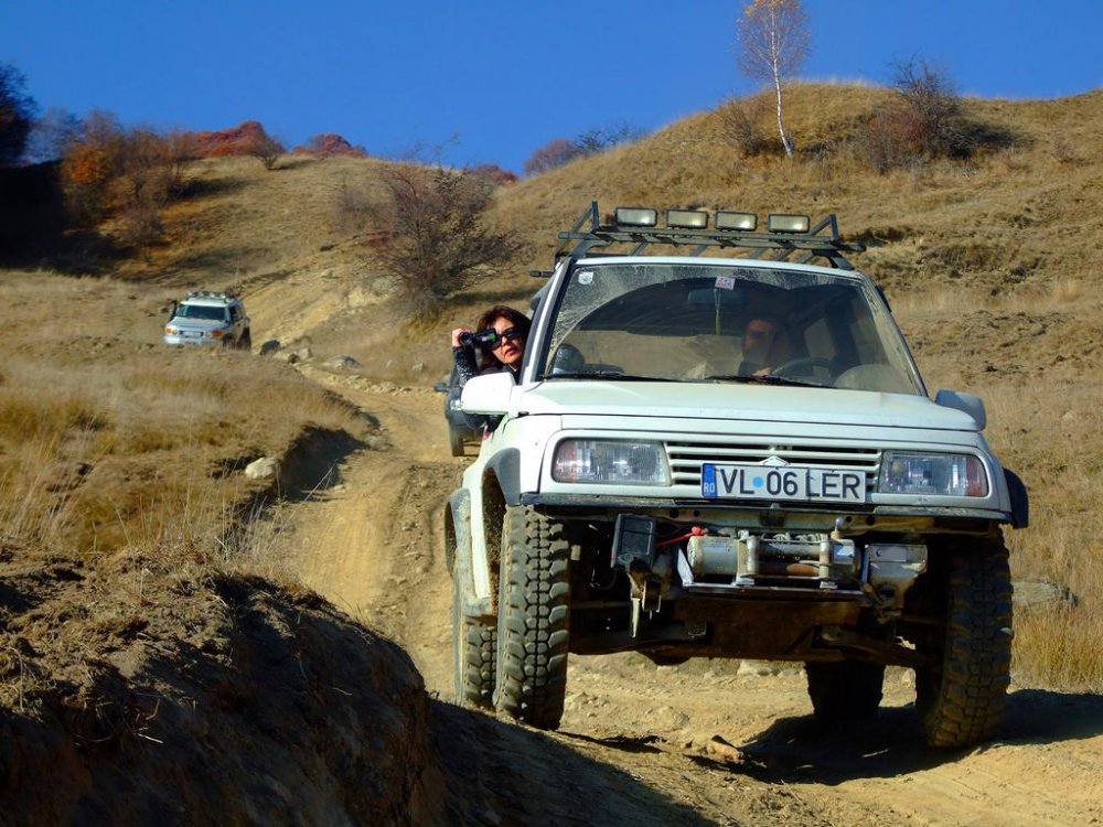 DSCF7543.thumb.jpg.76ff3a3efa492a8c6bd229c8e57af249.jpg