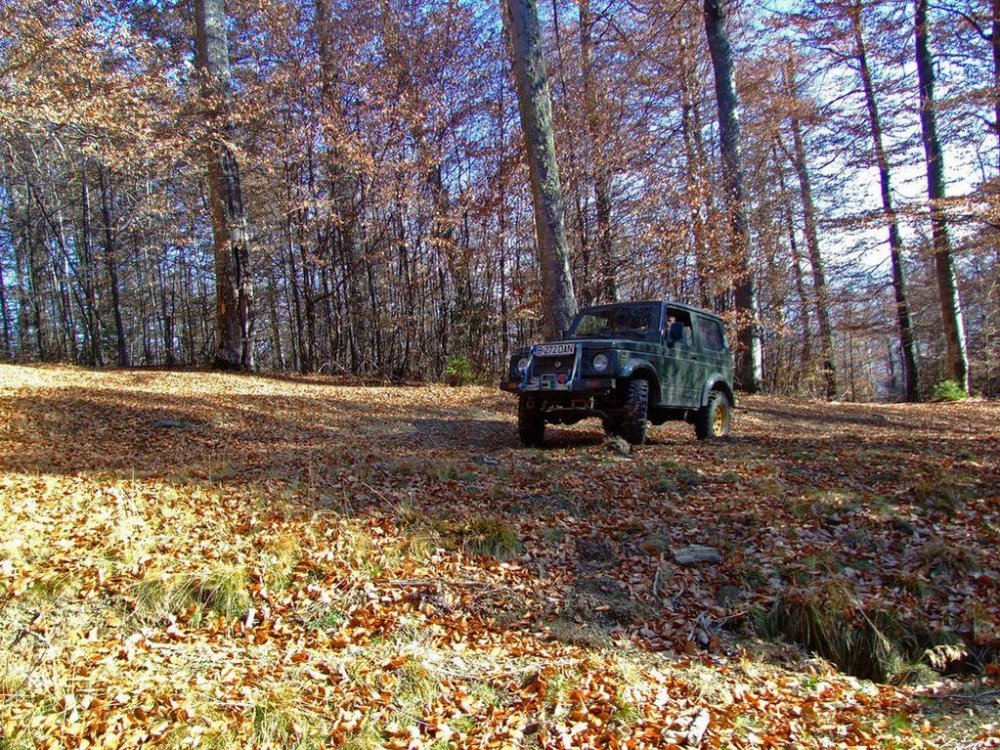 DSCF7658.thumb.jpg.37d298f6e9eba128c935402838c99d2c.jpg