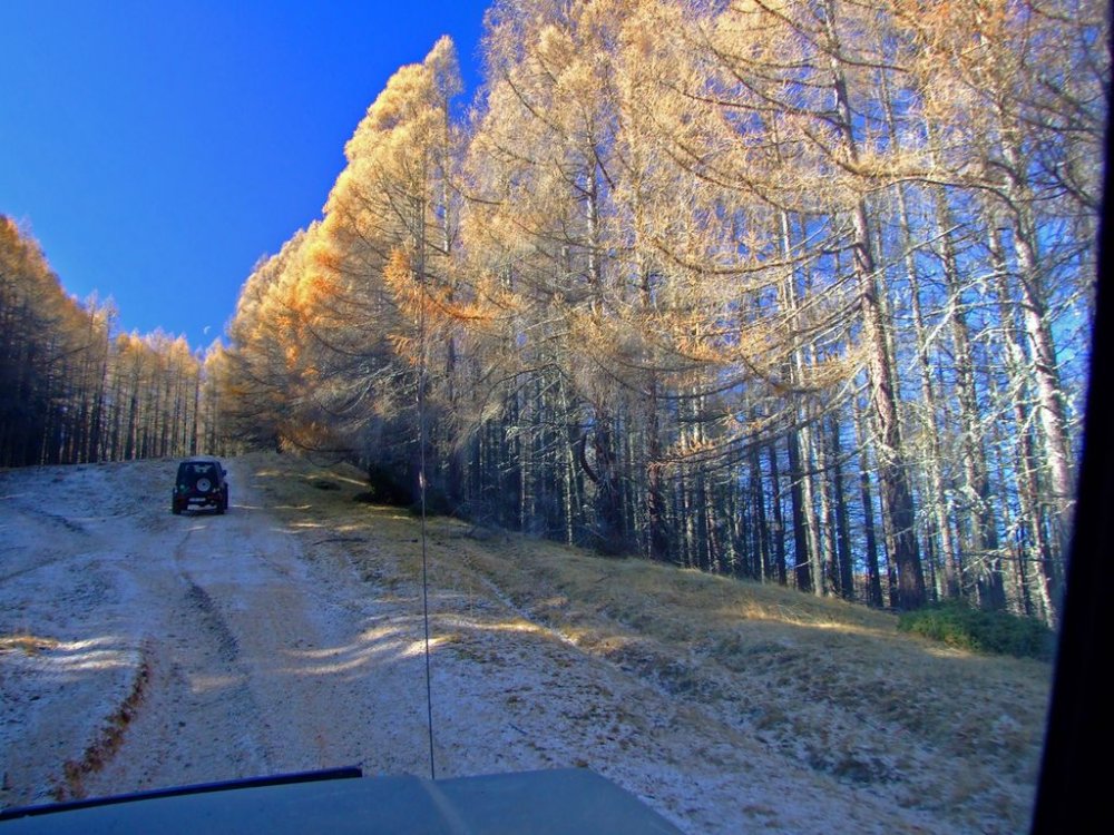 DSCF7663.thumb.JPG.2f4d27cbe785de6d40a21d5a4fd0e6e1.JPG
