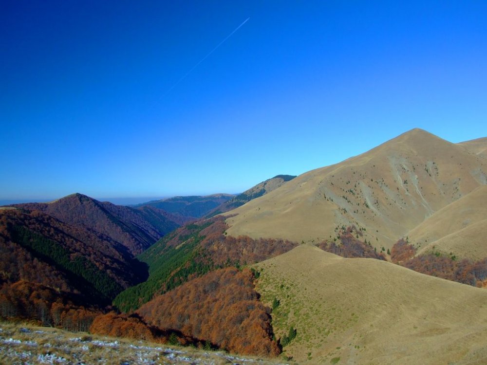 DSCF7683.thumb.JPG.ec66b95df77510b16b2d0fd5b0e3d747.JPG