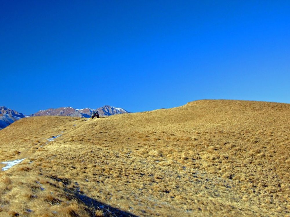 DSCF7690.thumb.JPG.7ef925663c1cccdeb6ab670e476fb6c7.JPG