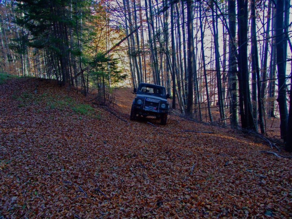 DSCF7773.thumb.JPG.f0dc6fa9b4224e93c5646d23e808c9a6.JPG