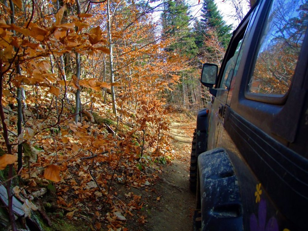 DSCF7861.thumb.JPG.2e9ecca9fb5383a25c736b29bd7d6357.JPG
