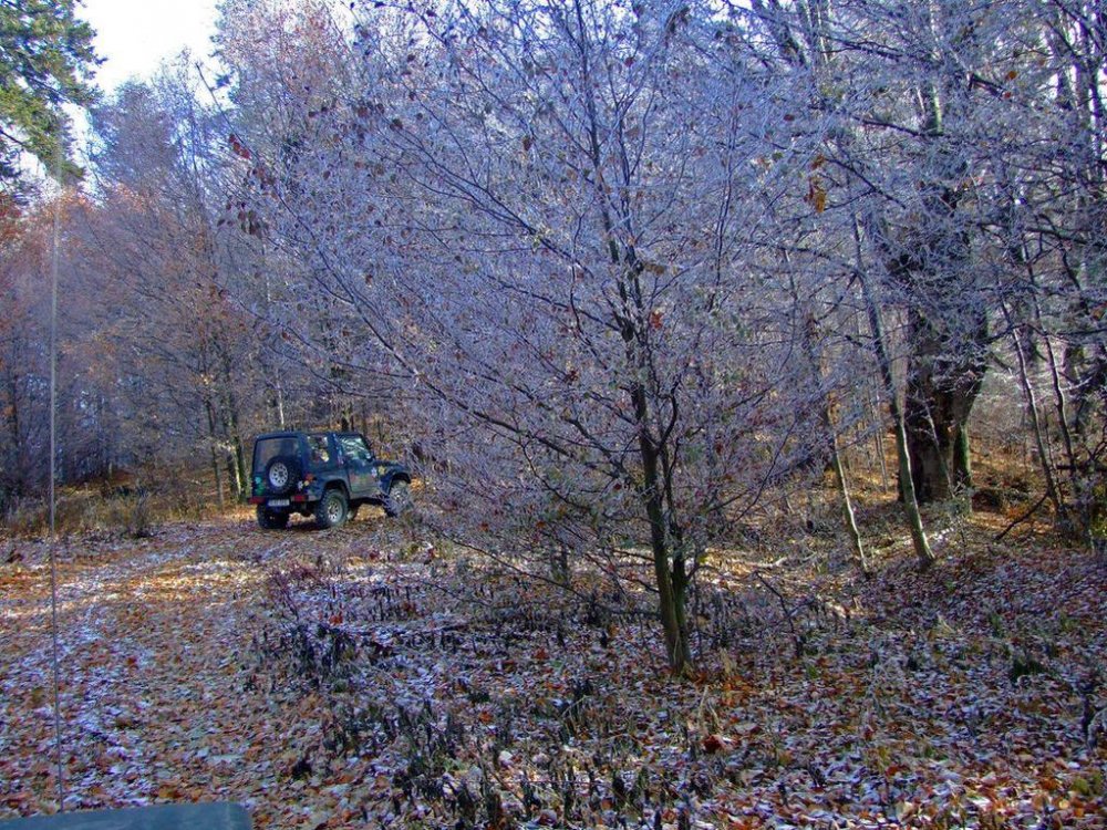 DSCF7876.thumb.jpg.13d95cb6206dbd5f4d98ab21ee274121.jpg